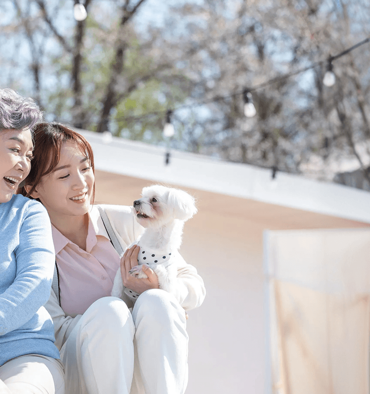 안질환 히어로