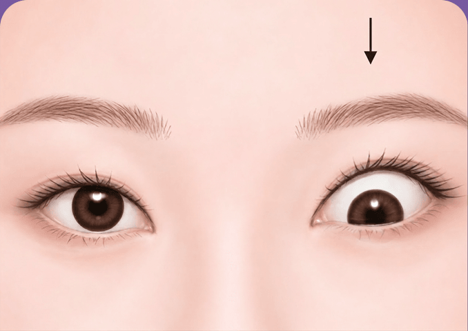 하사시